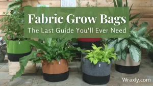 Fabric Grow Bags - The Last Guide You'll Ever Need