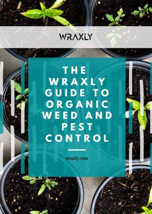 Wraxly guide to organic weed and pest control ebook cover