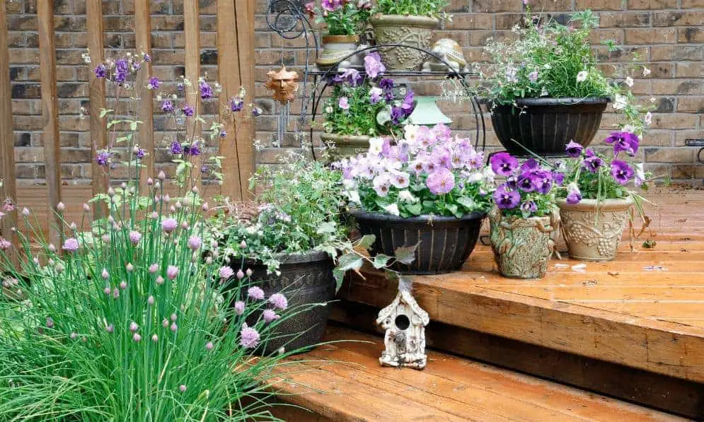 Grow plants creatively in pots, ideal for extroverts in smaller spaces. 