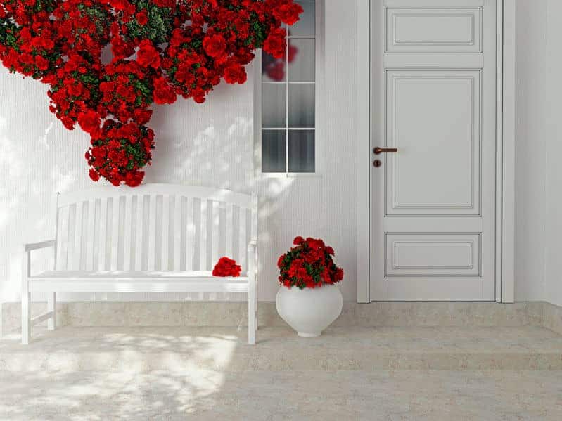 Roses in a white vase can do wonders to increase the curb appeal through the use of container gardening.