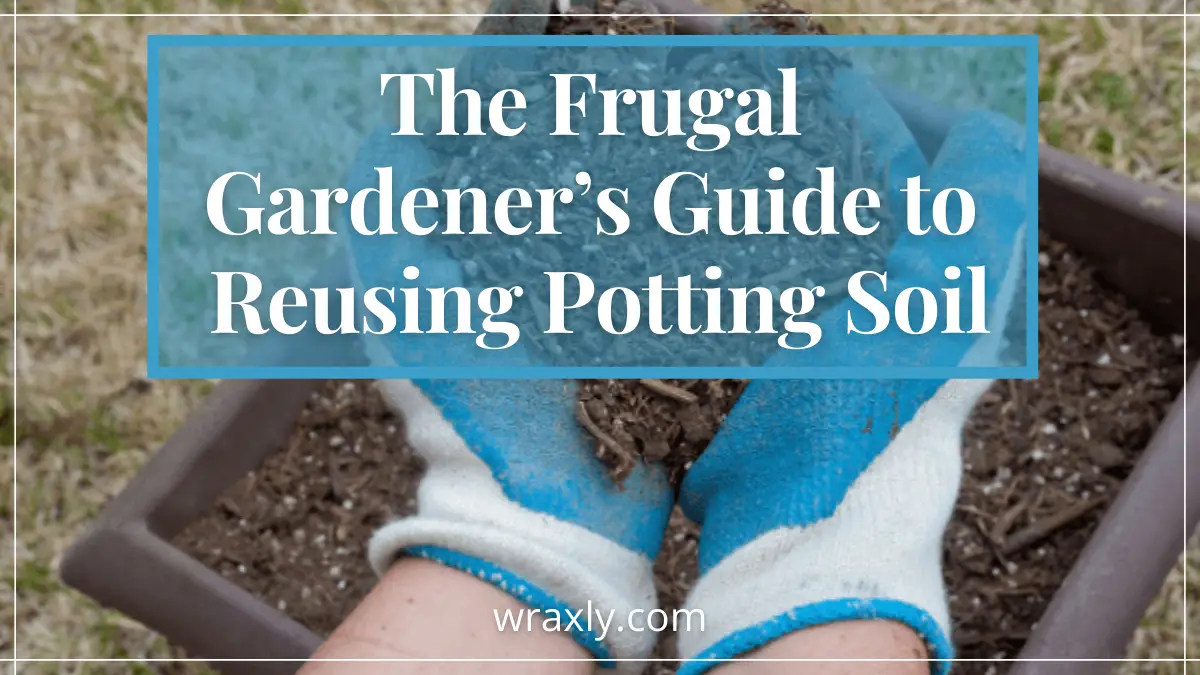 O guia do jardineiro frugal para reutilizar o solo para vasos