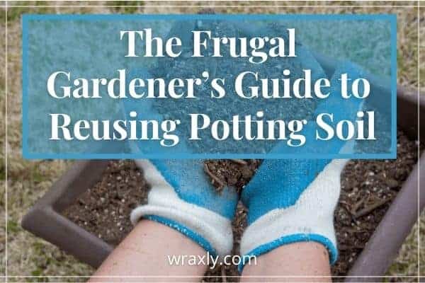 La guía del jardinero frugal para reutilizar tierra para macetas