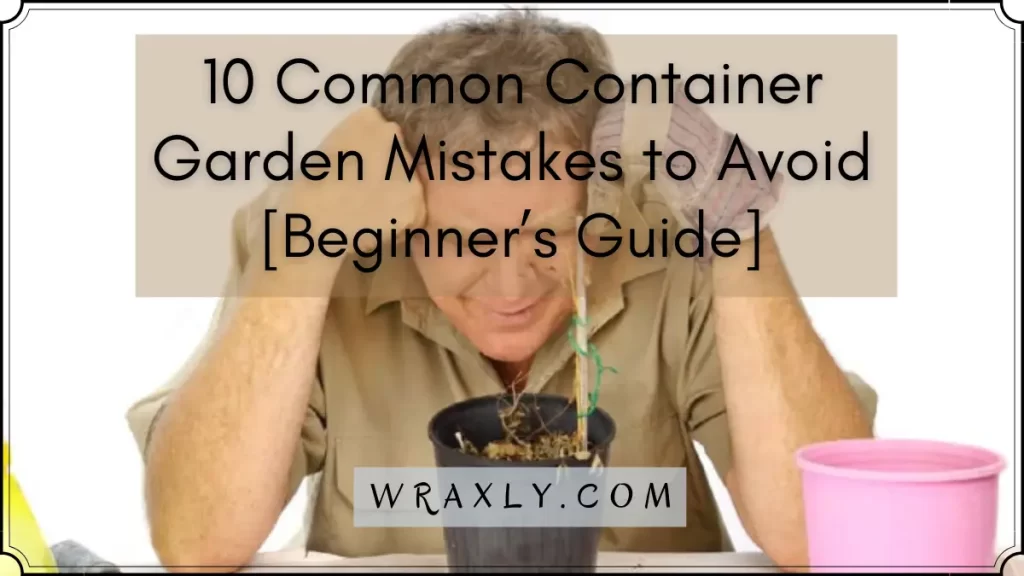10 errores comunes que se deben evitar en los jardines de contenedores [Guía para principiantes]