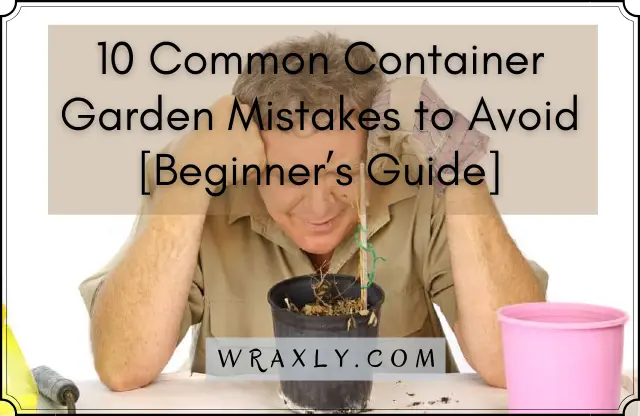 10 Common Container Garden Mistakes to Avoid [Beginner’s Guide]