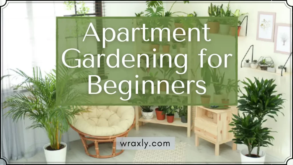 Appartement tuinieren voor beginners