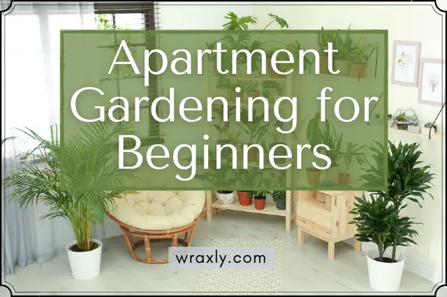 Jardinería de apartamento para principiantes