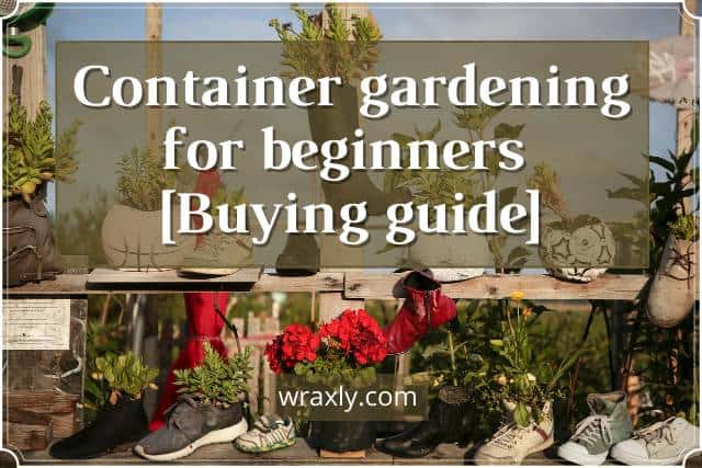 Container gardening for beginners [Buying guide]