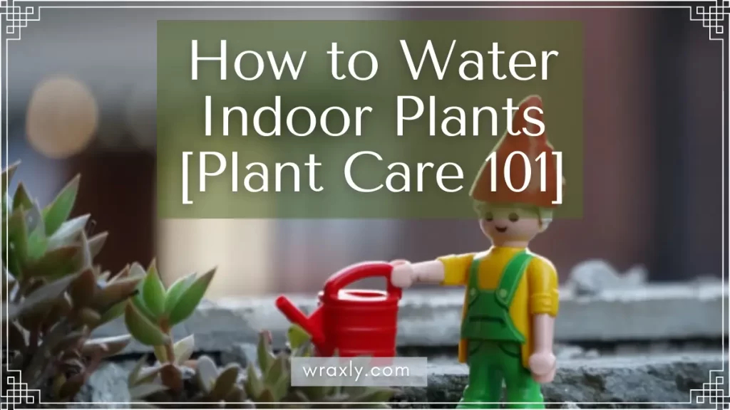 Kamerplanten water geven [Plant Care 101]
