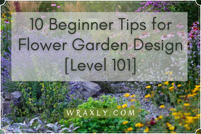 10 conseils pour débutants pour la conception de jardins fleuris [Niveau 101]