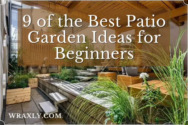 9 des meilleures idées de jardin patio pour les débutants