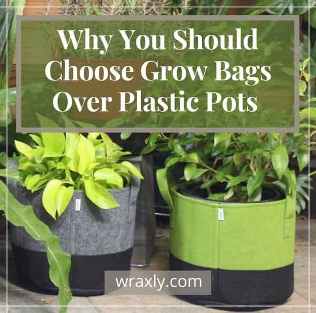 Why you should choose grow bags over plastic pots - wraxly.com