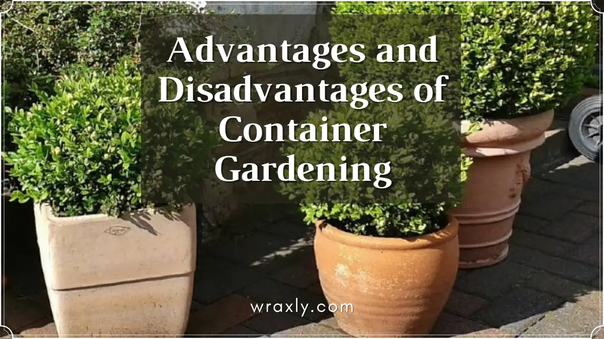 Advantages and Disadvantages of Container Gardening