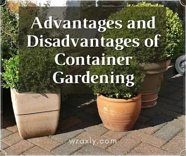 Advantages and Disadvantages of Container Gardening