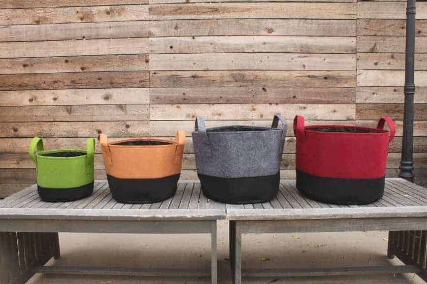 Options de conteneurs à gogo ! Des pots aux paniers suspendus, les possibilités sont infinies dans le monde du jardinage en pot. 