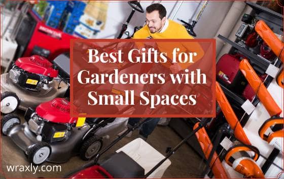 Best gifts for gardeners with small spaces