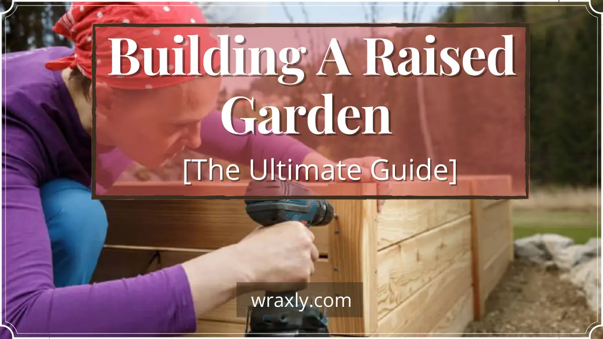Building A Raised Garden [The Ultimate Guide]