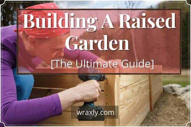 Building A Raised Garden [The Ultimate Guide]