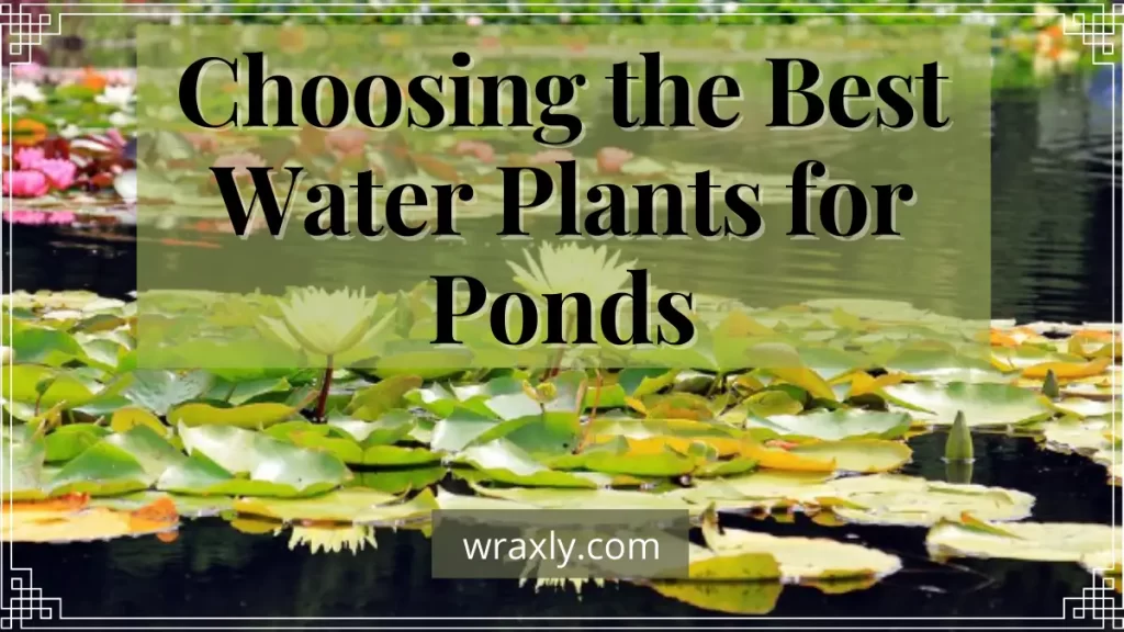 Elegir las mejores plantas de agua para estanques