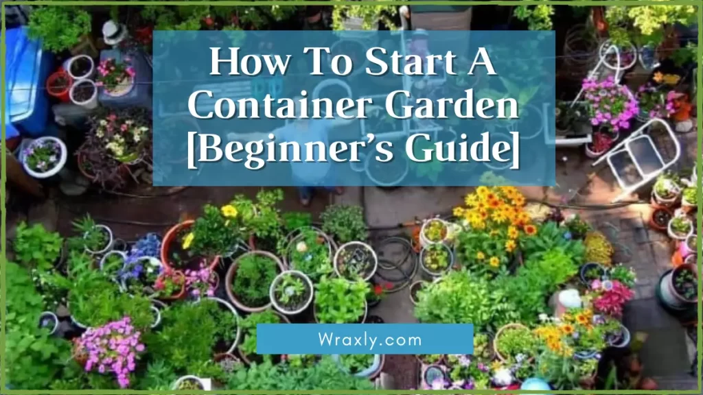 Cómo iniciar un jardín de contenedores [Guía para principiantes]
