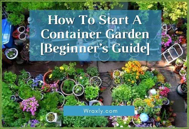How To Start A Container Garden [Beginner’s Guide]