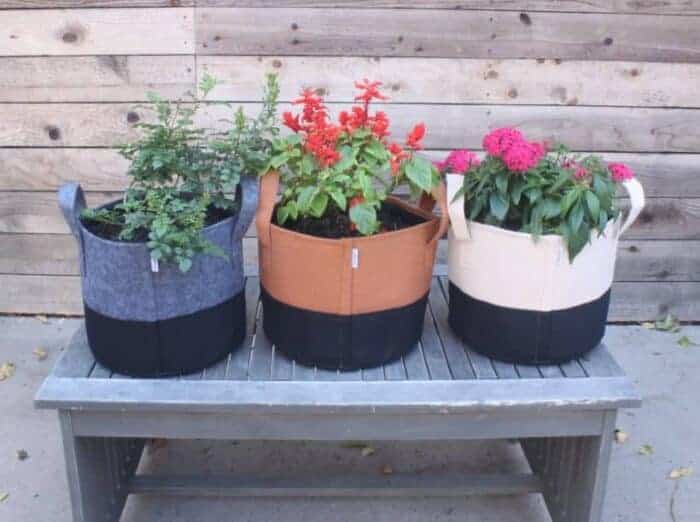 How To Use Fabric Pots For Container Gardening (Level 101) Wraxly