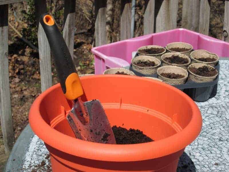 Scegliere le piante giuste per il giardinaggio in container.