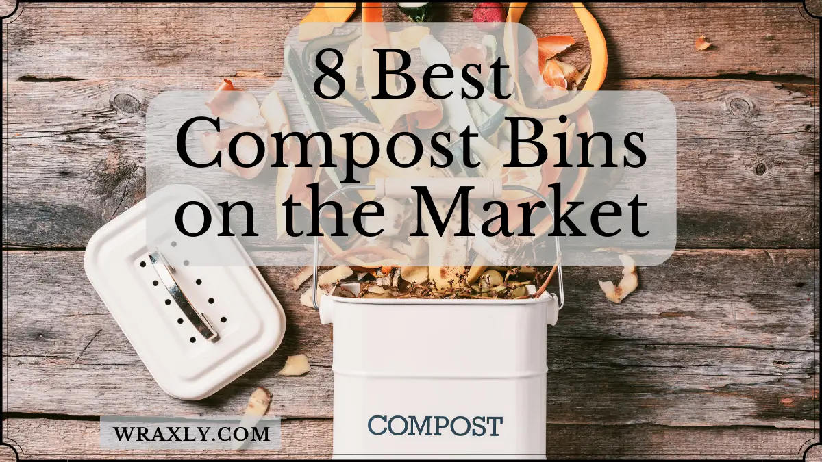 Gli 8 migliori contenitori per compost sul mercato