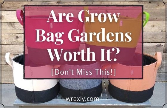 Are Grow Bag Gardens Worth It