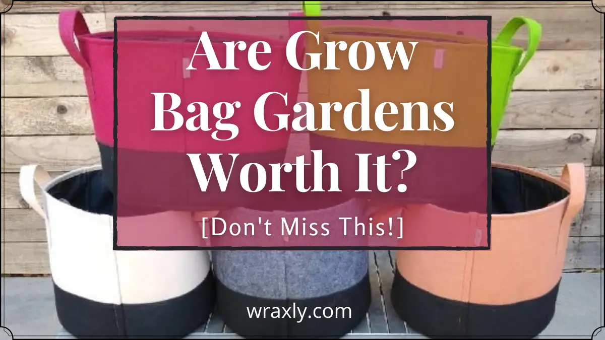Are Grow Bag Gardens Worth It