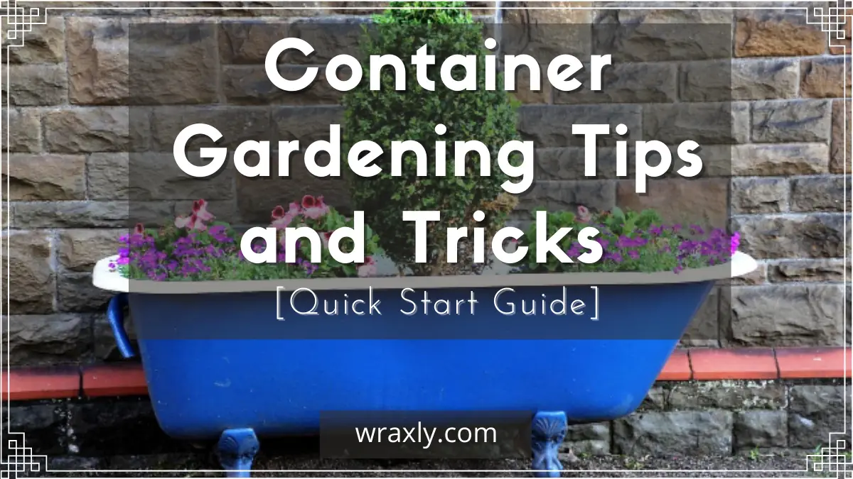 Container Gardening Tips and Tricks