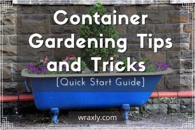 Container Gardening Tips and Tricks