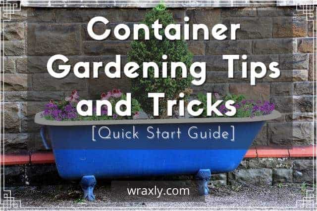 Trucs et astuces pour le jardinage en conteneurs