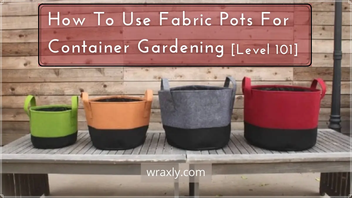 How To Use Fabric Pots For Container Gardening [Level 101]