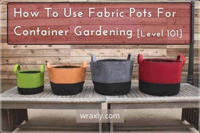 How To Use Fabric Pots For Container Gardening [Level 101]