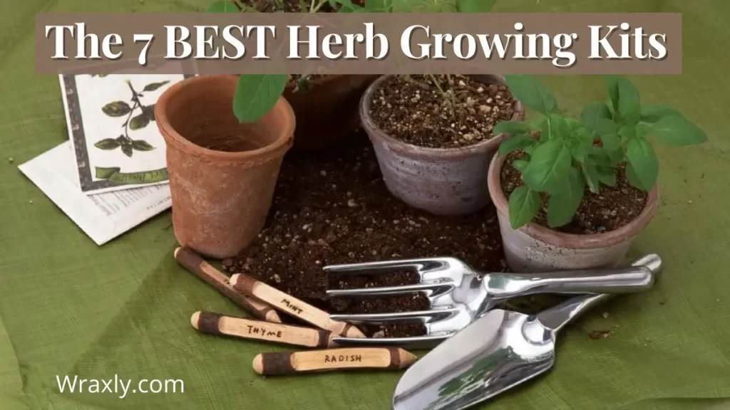 Ang 7 Pinakamahusay na Herb Growing Kit