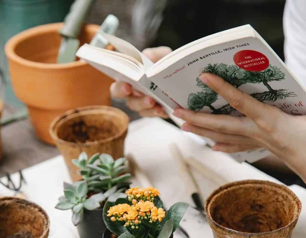 Best books on container gardening