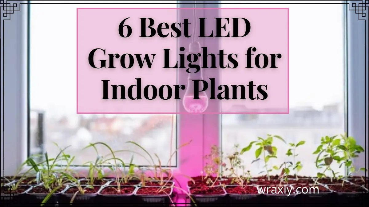 6 Best LED Grow Lights for Indoor Plants