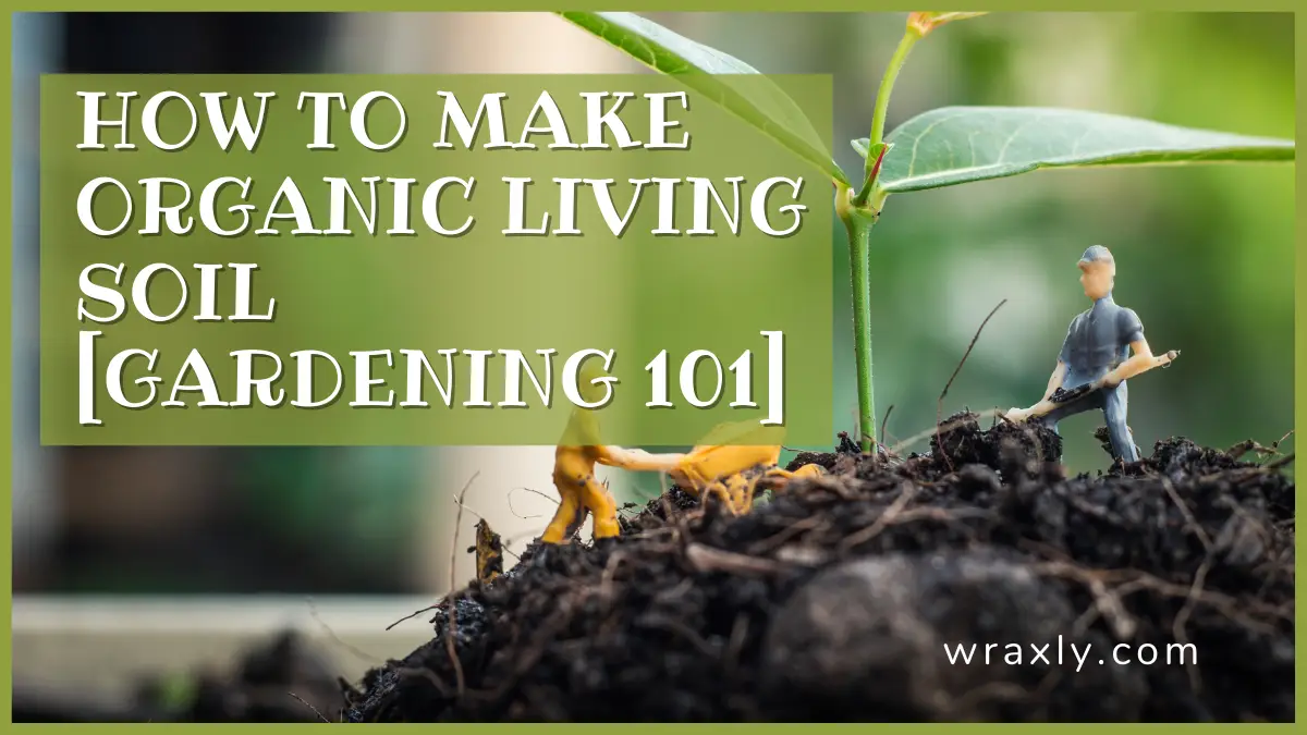 Comment faire de la terre vivante organique [Jardinage 101]