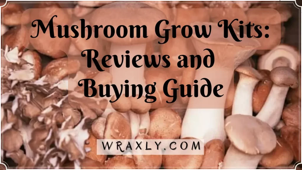 Mushroom Grow Kits Reviews and Buying Guide