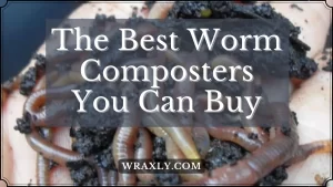 The Best Worm Composters You Can Buy