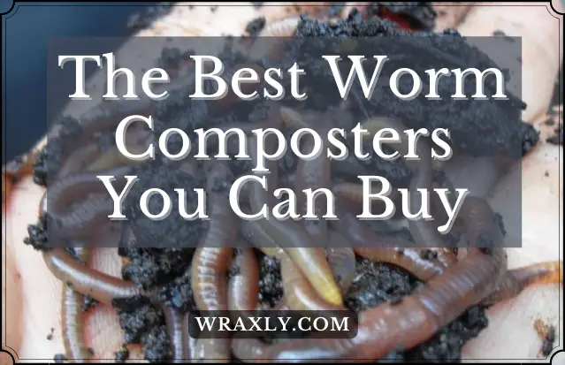 Los mejores compostadores de lombrices que puedes comprar 