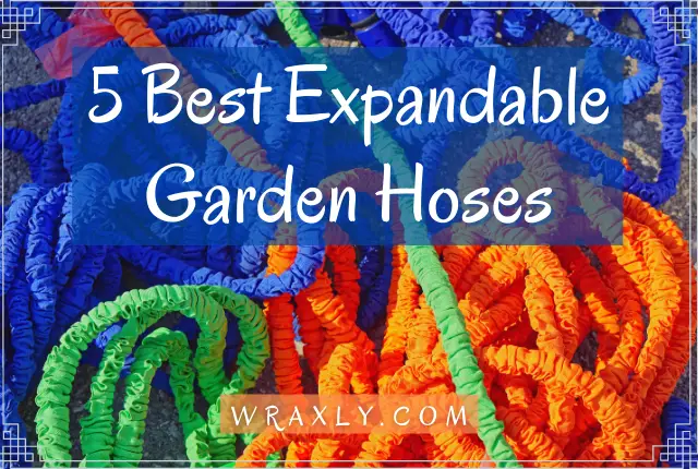 5 Best Expandable Garden Hoses