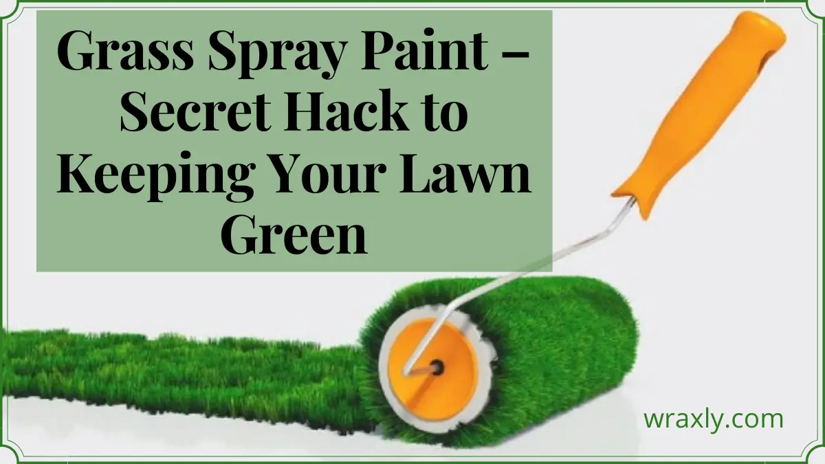 Vernice spray per erba: trucco segreto per mantenere il prato verde