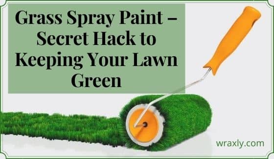 Pintura en aerosol para césped: truco secreto para mantener el césped verde