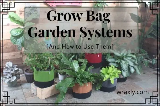 Grow Bags Sistemi da giardino