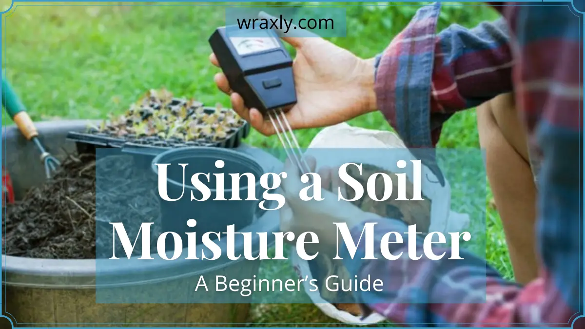 Using a Soil Moisture Meter
