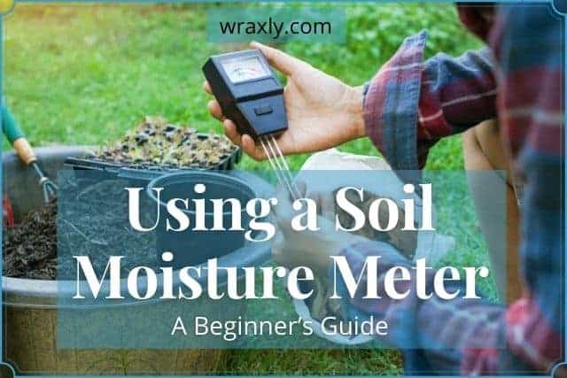 Usando um medidor de umidade do solo