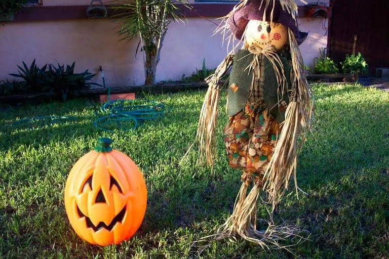 Fall garden landscape ideas.