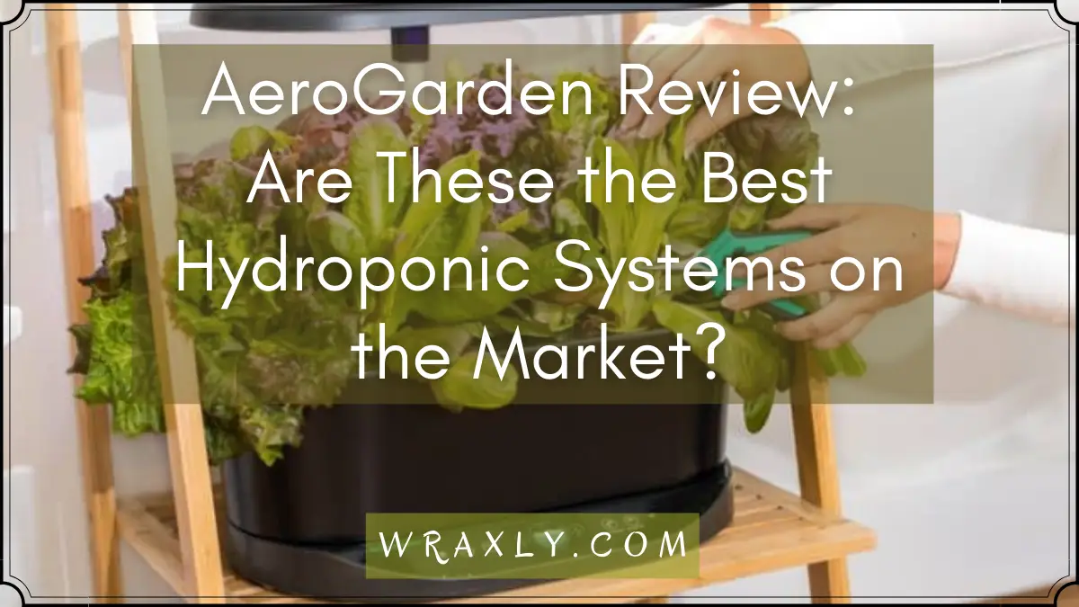 AeroGarden Review sind die besten hydroponischen Systeme auf dem Markt