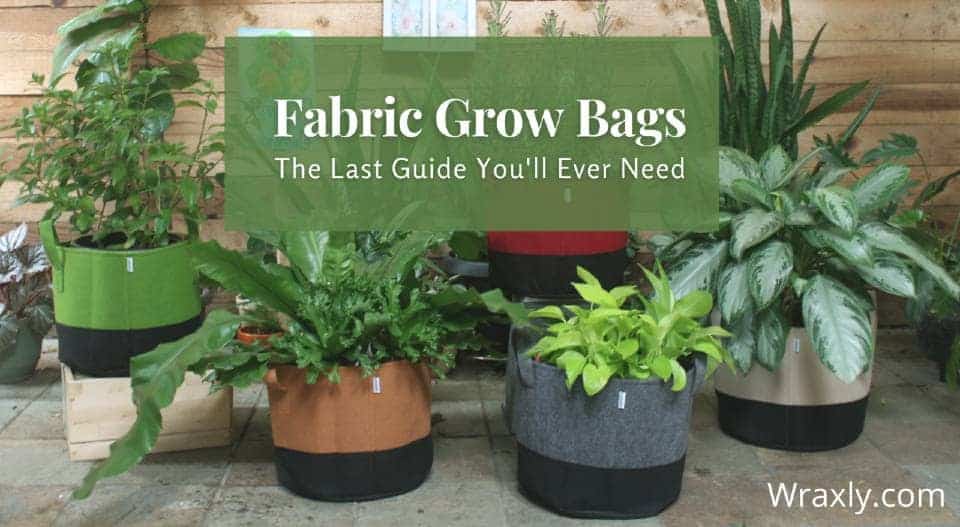 Fabric Grow Bags: The Last Guide You’ll Ever Need (Updated) - Wraxly